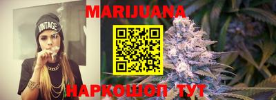 Альфа ПВП Кингисепп