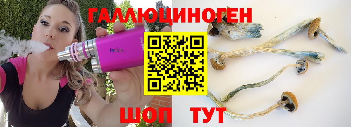 Псилоцибиновые грибы прущие грибы  Вход с VPN  Избербаш 