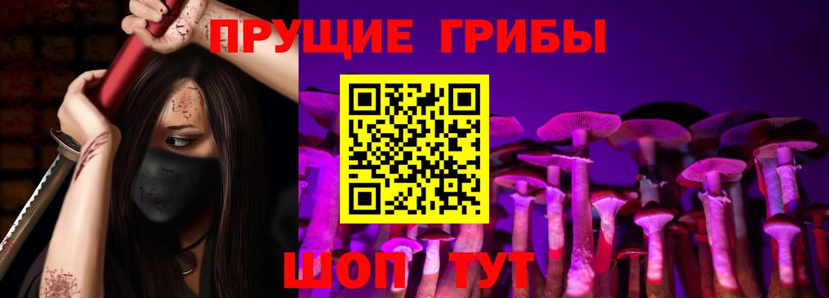 Псилоцибиновые грибы Psilocybe Избербаш
